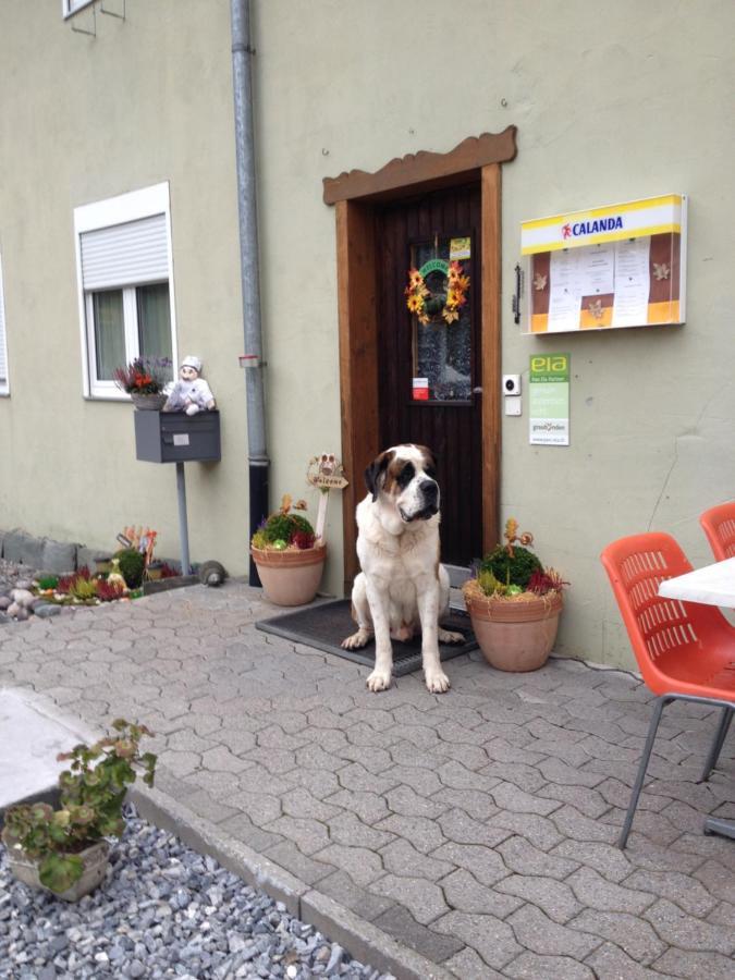 La Cantina Restaurant Alvaneu エクステリア 写真